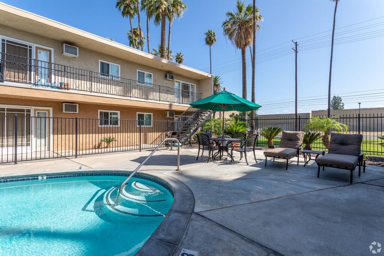 Beautiful Sago Palms - Photo 5 of 14