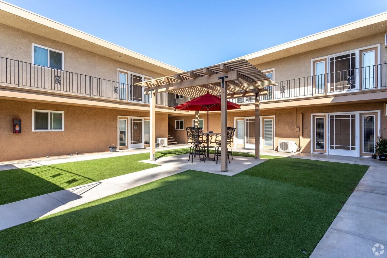 Beautiful Sago Palms - Photo 6 of 14