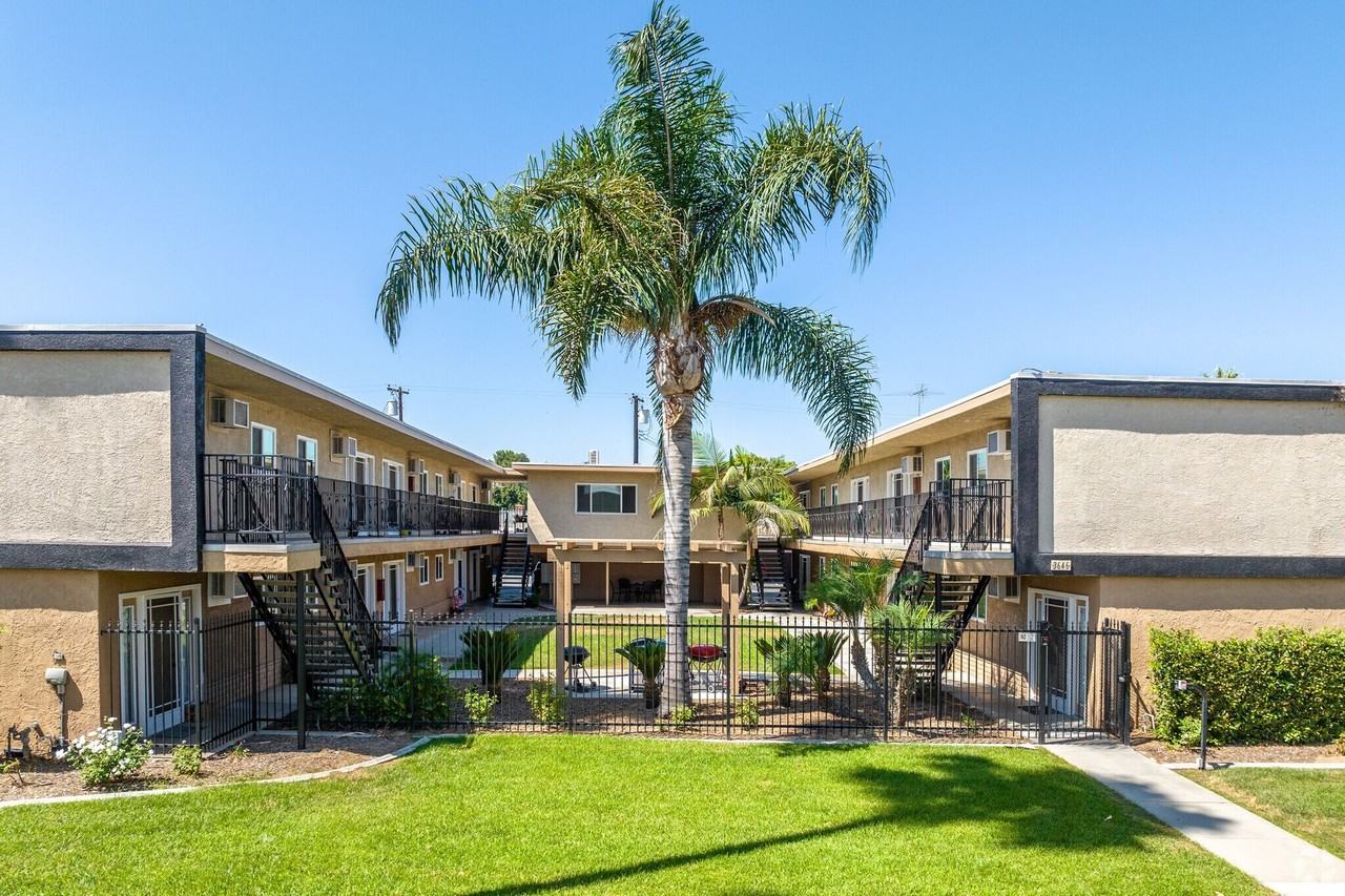 Beautiful Sago Palms - Photo 7 of 14