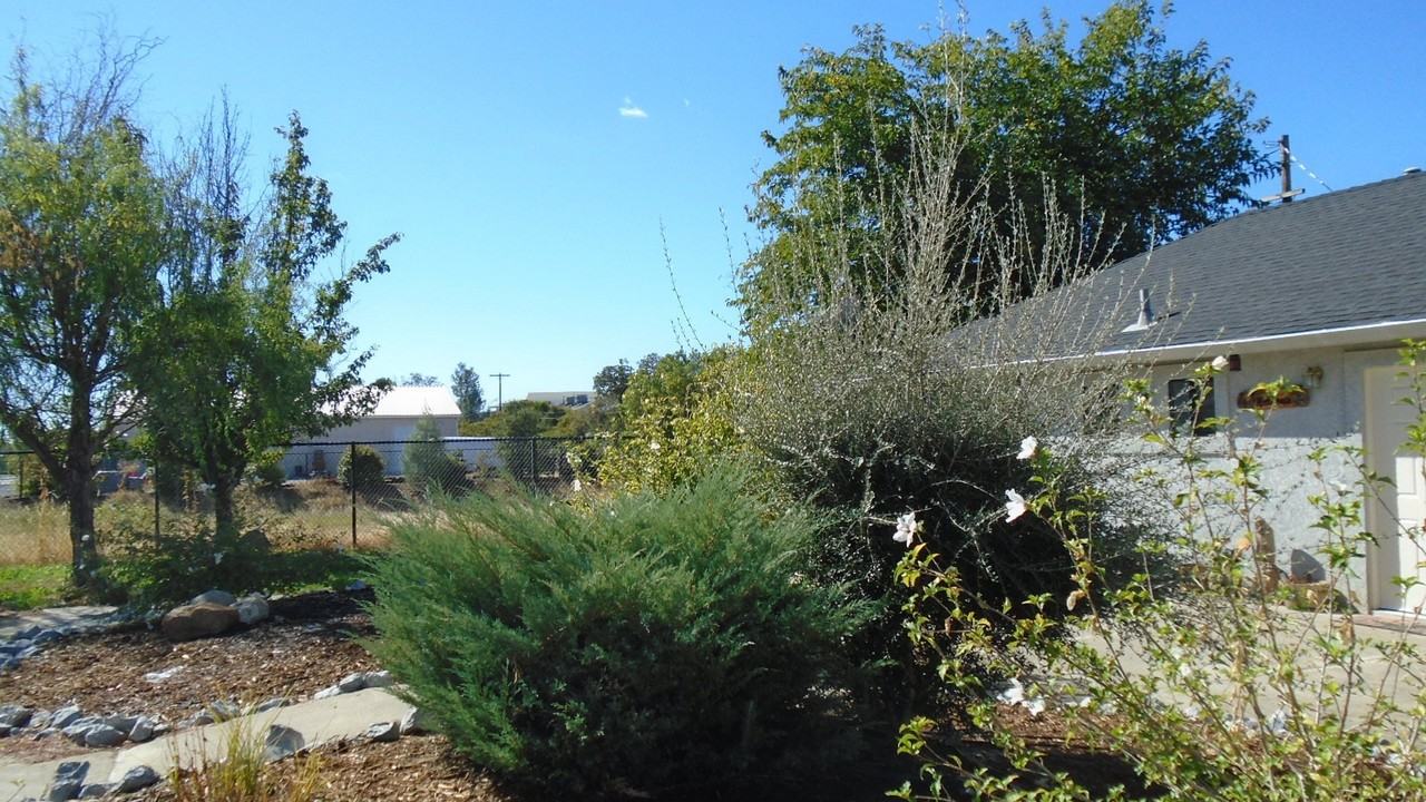 1984 Airstrip Rd - Photo 4 of 4