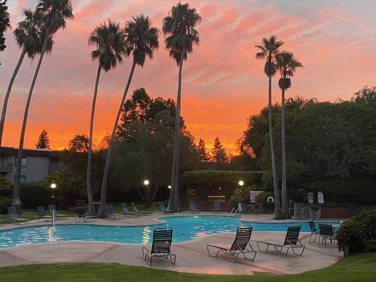 6309 Shelter Creek Ln - Photo 3 of 15