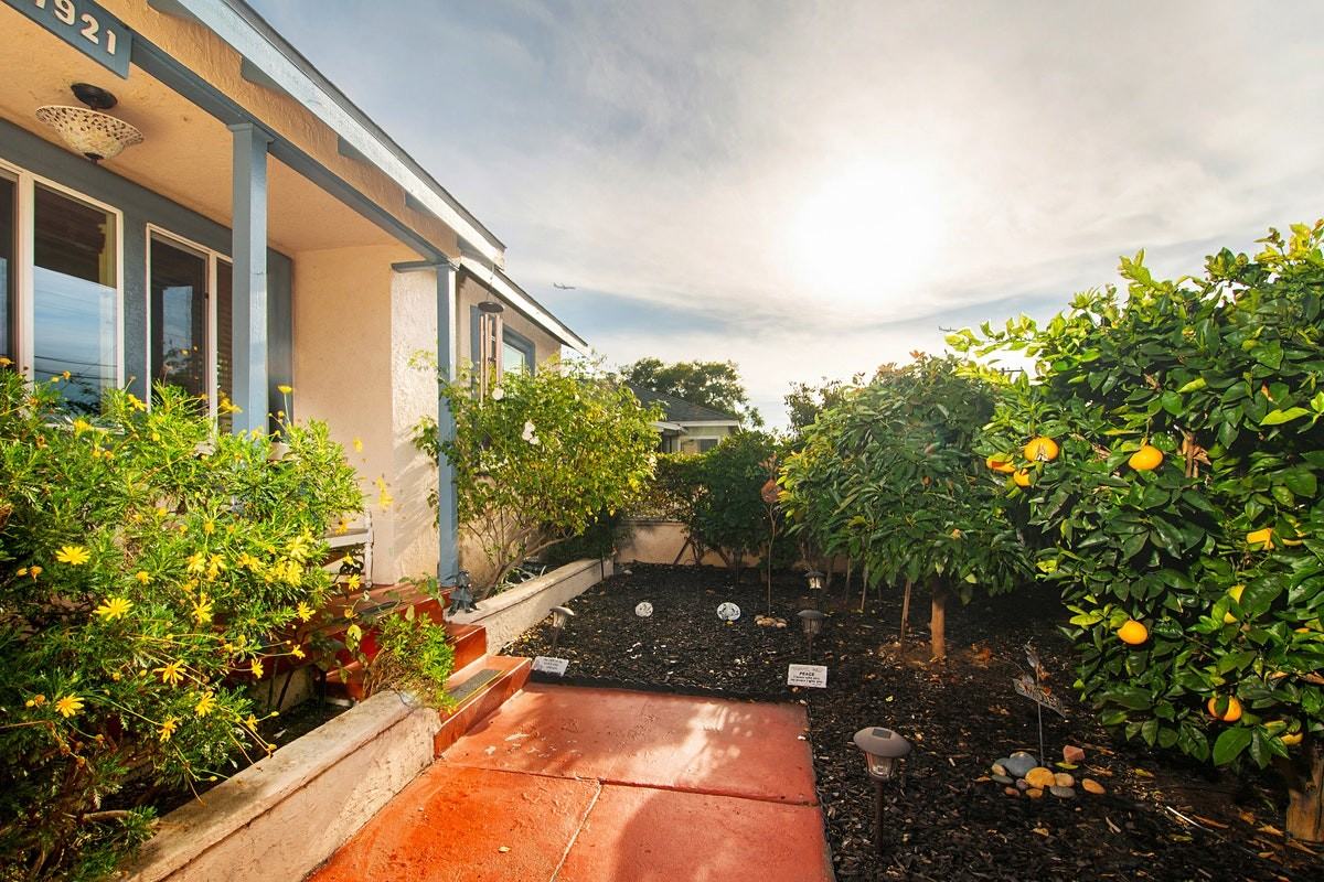 1921 Rowan Street - Photo 5 of 29