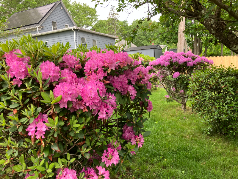 2 Woburn St/ Grafton St. #2WOBURNST - Photo 7 of 8