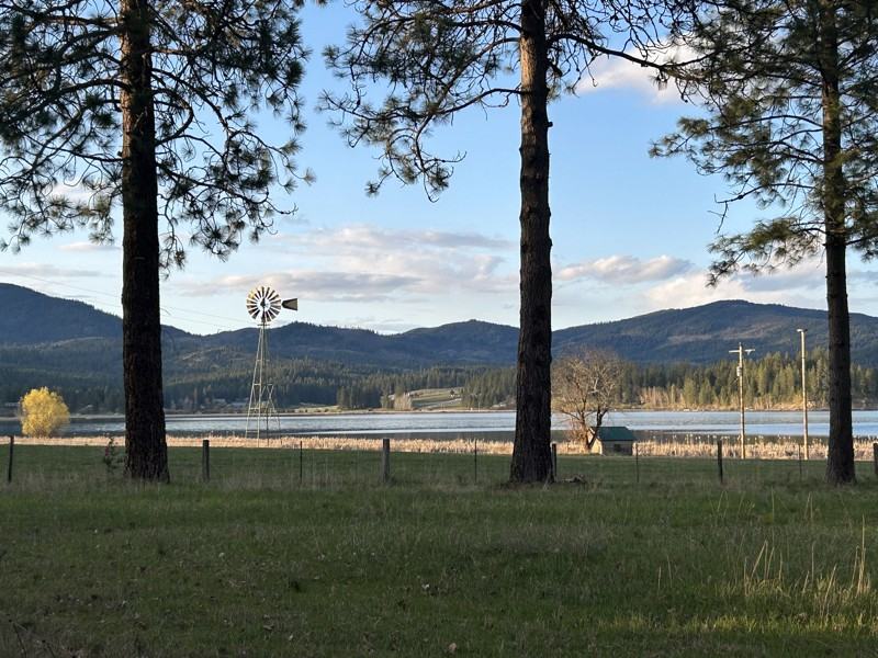 11198 N 1st St - Photo 2 of 20