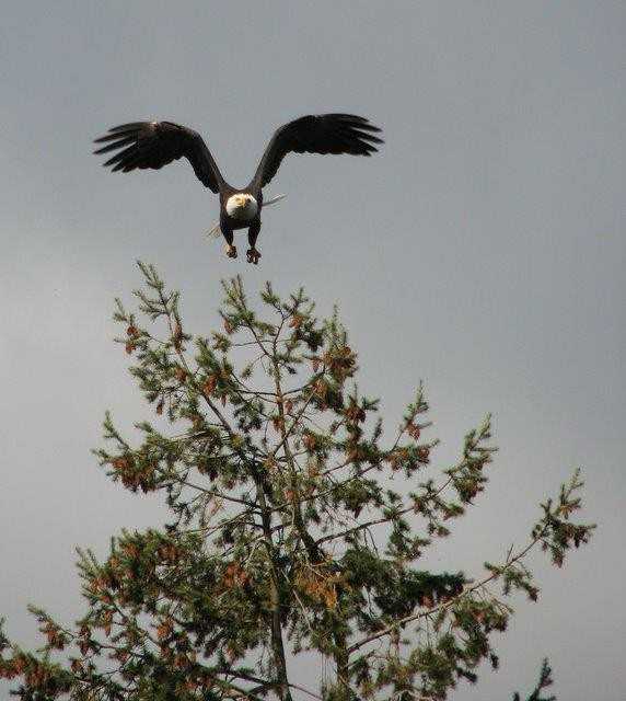 11198 N 1st St - Photo 3 of 20