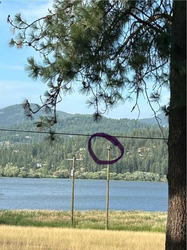 11198 N 1st St - Photo 5 of 20