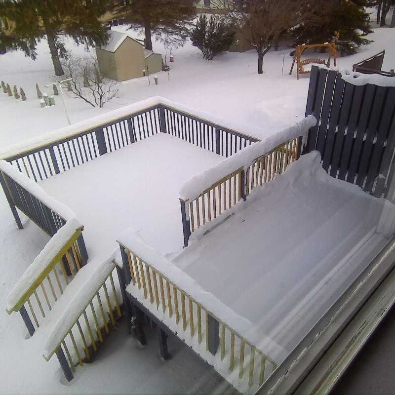 1103 Autumn Dr - Photo 2 of 17