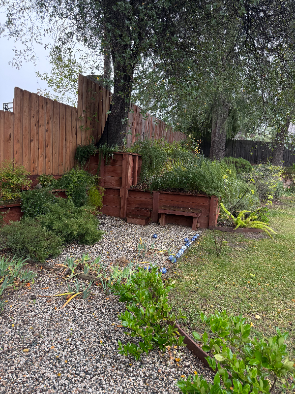 8445 Palmaire Way - Photo 4 of 13