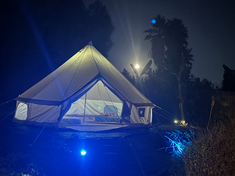 315 Osborne St - Photo 3 of 16