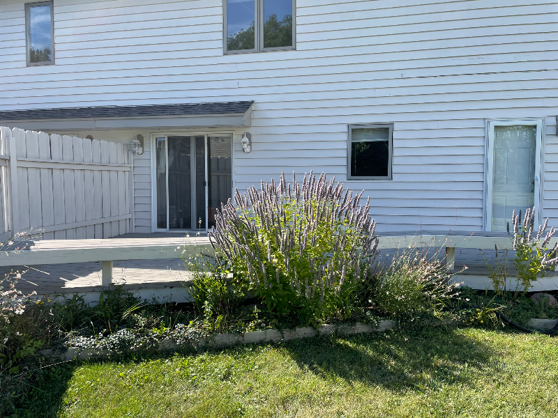 560 Foxtail Dr - Photo 2 of 16