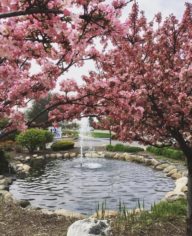 12 NORTH - Photo 3 of 36