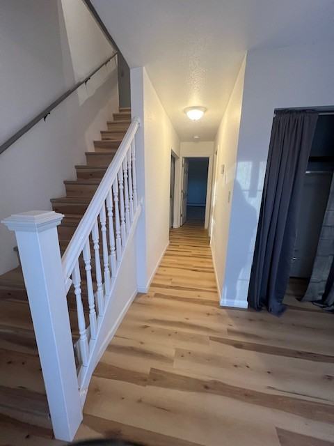 1101 W Nelson Ave #B - Photo 3 of 19