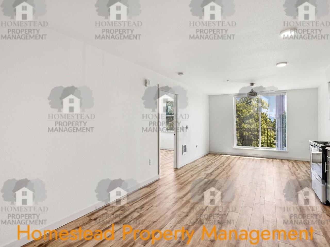 COME BE A PART OF THE MONMOUTH COMMONS EXPERIENCE! - Photo 4 of 28