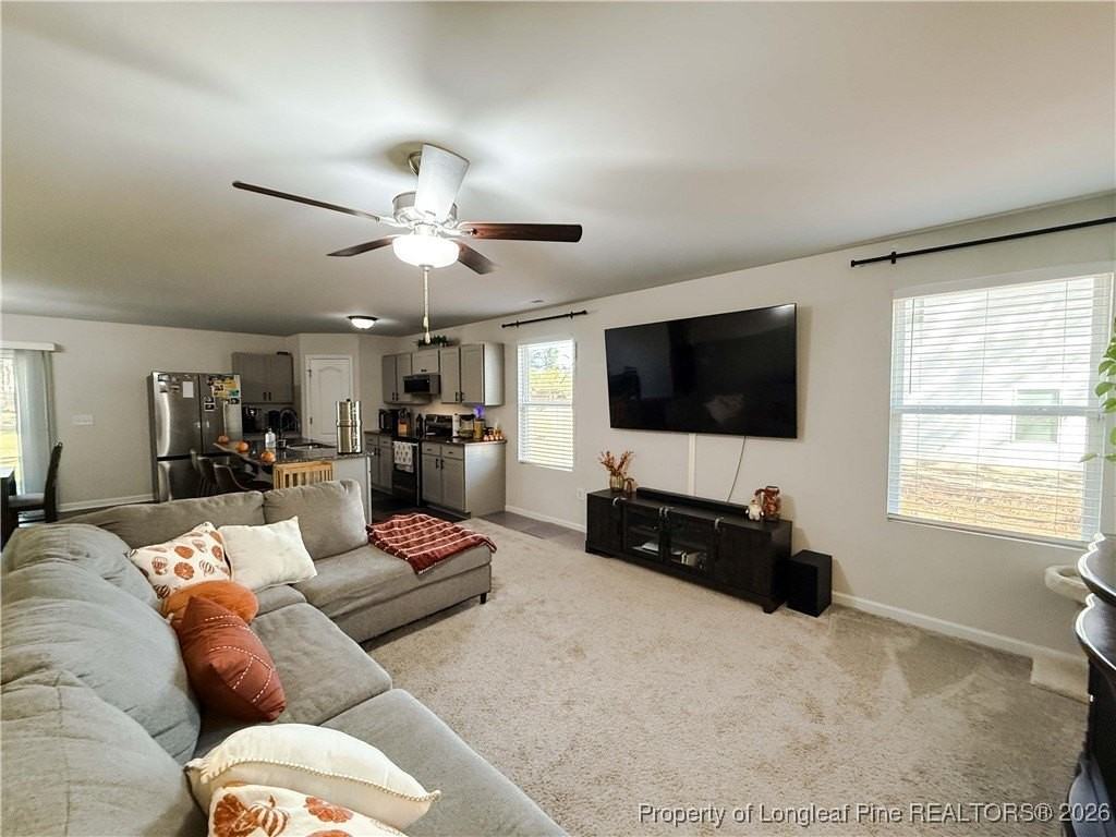 245 Desert Orchid Cir - Photo 5 of 24