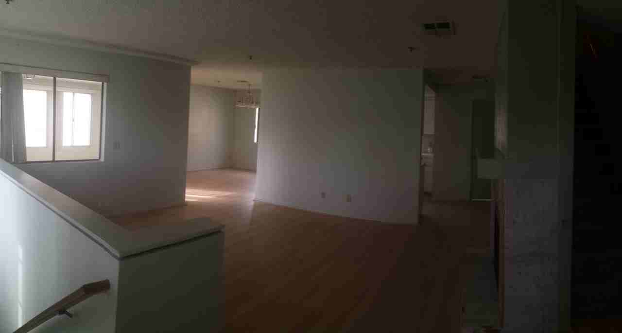 1117 Whitmore Street #B - Photo 2 of 14