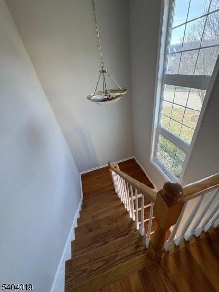 8 Winding Way #8 - Photo 5 of 12