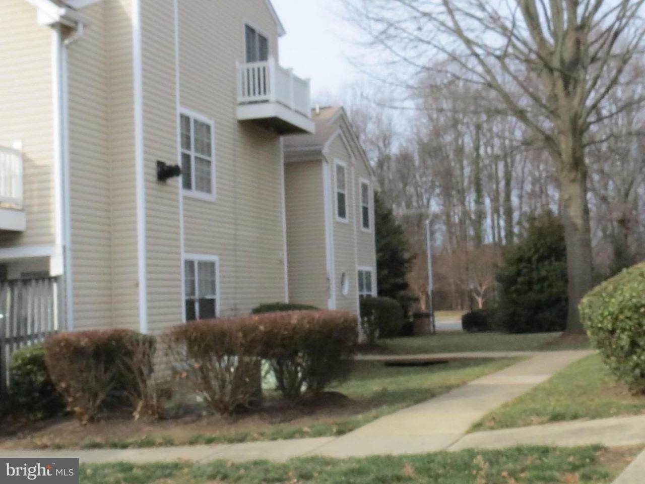 16202 Ellipse Ter - Photo 2 of 34