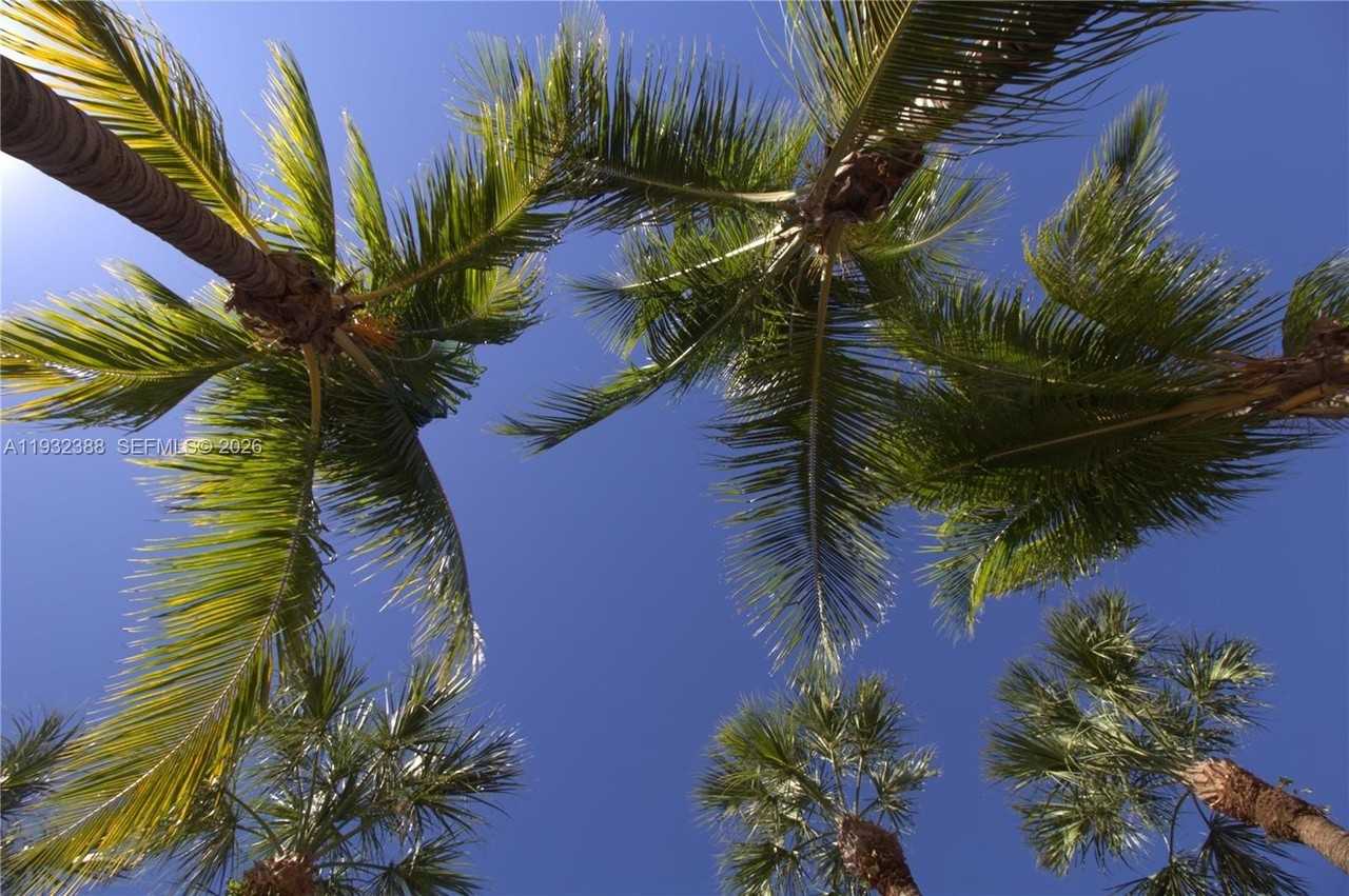 7155 Miami Lakes Dr #P4 - Photo 2 of 22