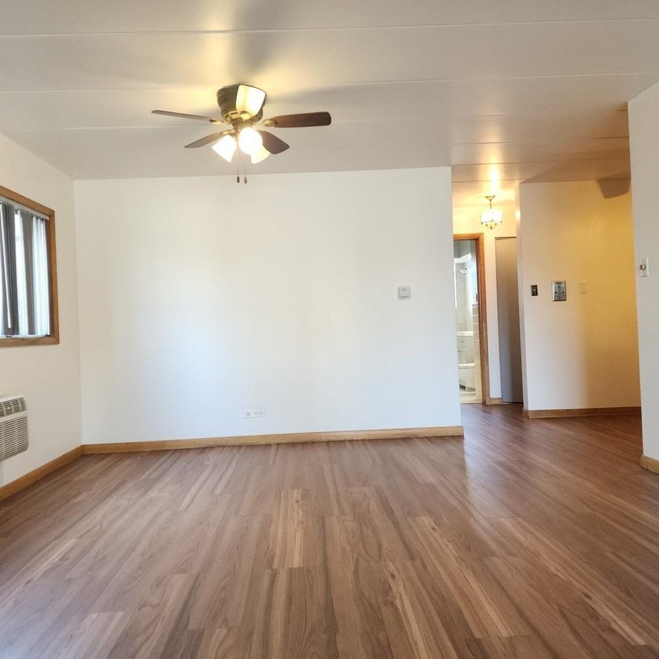 10332 S Komensky Ave Unit B #B - Photo 5 of 17