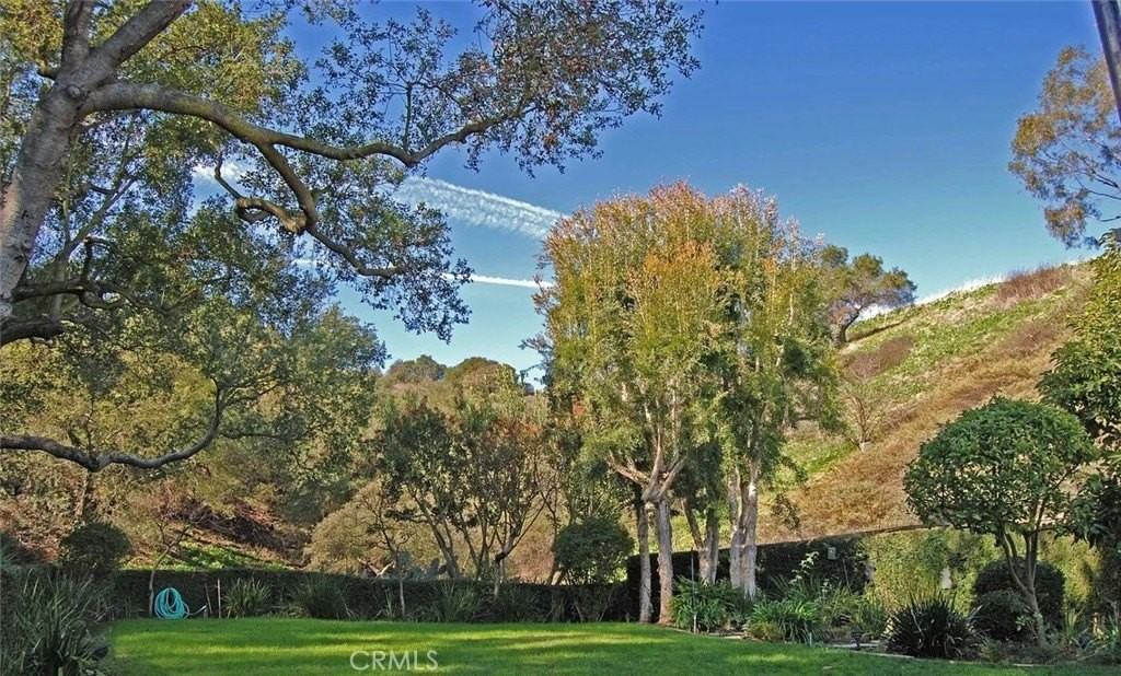 2539 Saleroso Dr - Photo 2 of 9