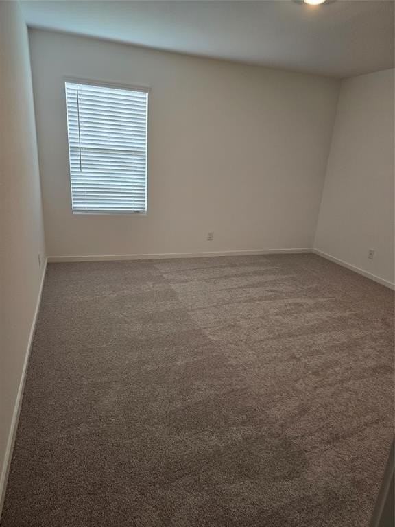 1165 Barbary Fields St - Photo 4 of 24