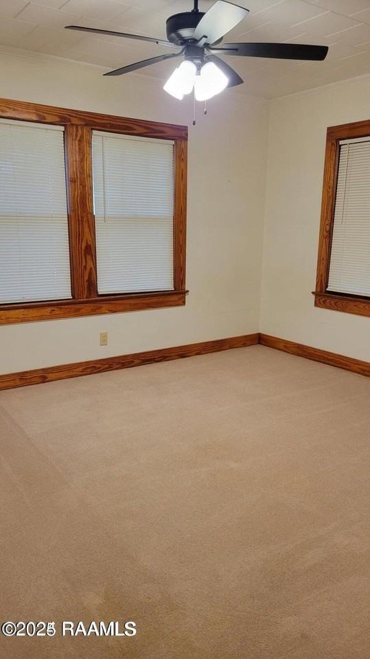 330 Charlotte St - Photo 7 of 13