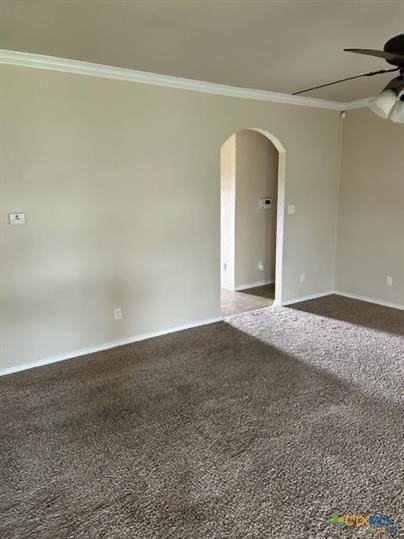 2517 Vernice Dr - Photo 6 of 17