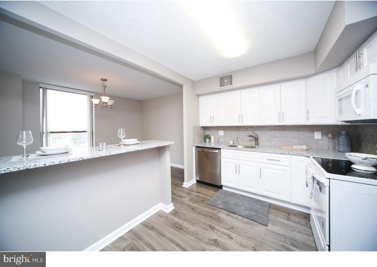 666 W Germantown Pike Apt 1620 #1620 - Photo 4 of 23