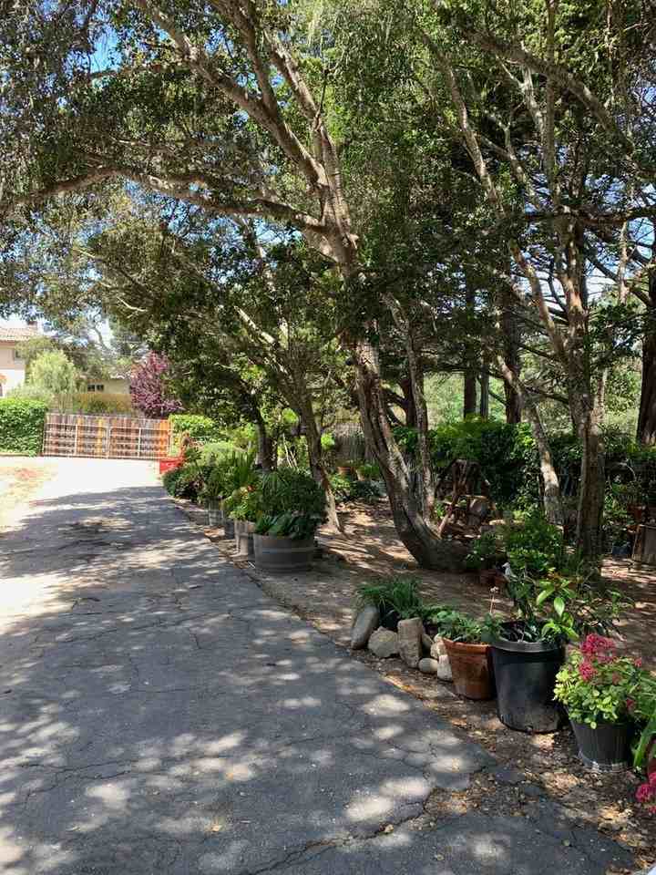 1383 Jacks Rd - Photo 2 of 8