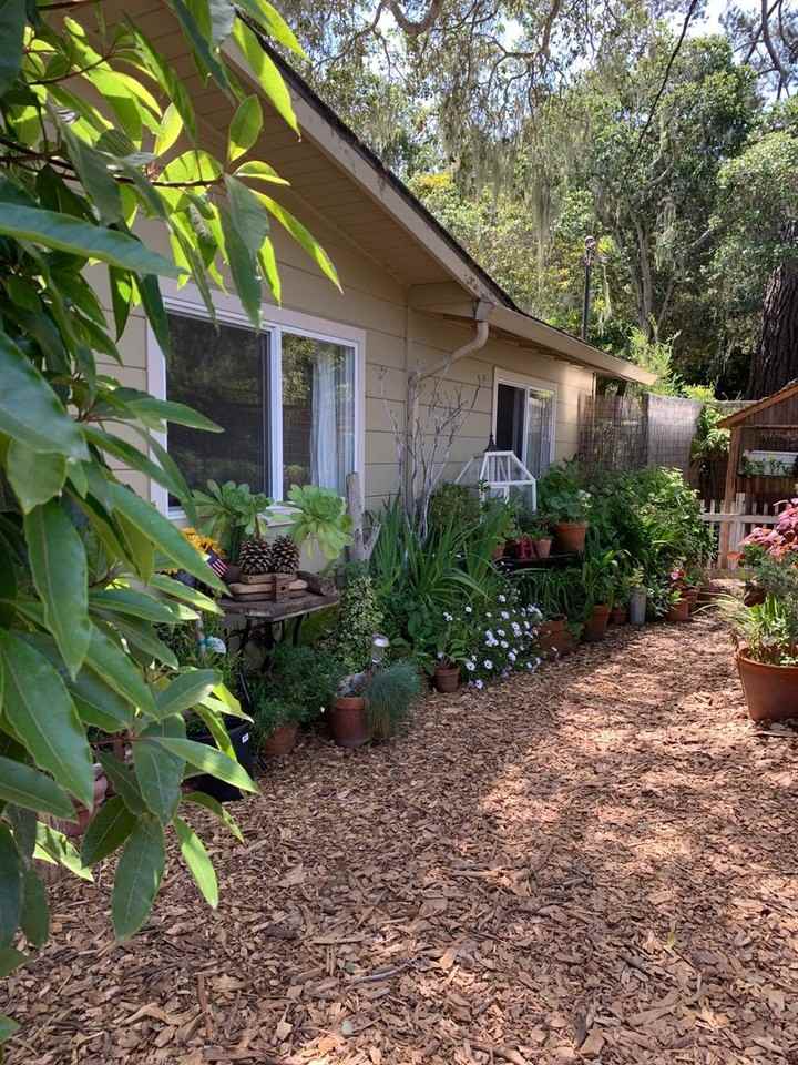 1383 Jacks Rd - Photo 5 of 8