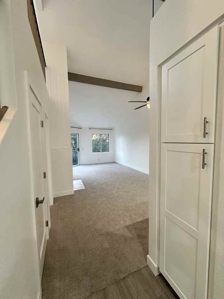 34 Dianthus - Photo 4 of 21