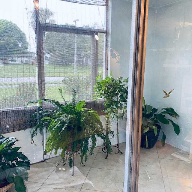 1104 Bahama Bnd #E1 - Photo 5 of 8