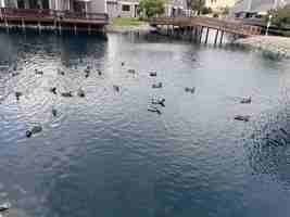 featured image of 2069 Sand Point Rd