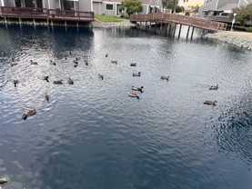 2069 Sand Point Rd - Photo 1 of 1