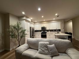 featured image of 8870 Camphor ##D