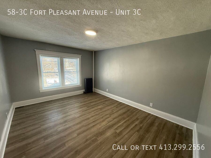 58 Fort Pleasant Ave Apt 3c #3C - Photo 4 of 14