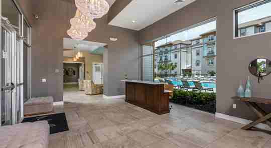 Niederst Management LTD 1 of 4