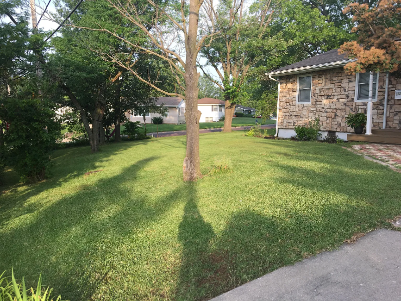 1303 Mills Dr - Photo 3 of 15