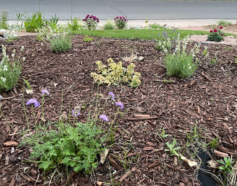 1587 S Garrison St - Photo 2 of 14