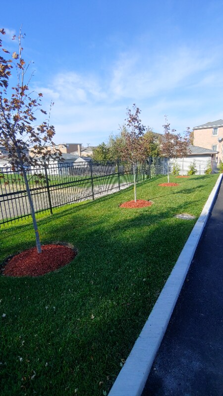 5366 S Laramie Ave #207 - Photo 3 of 15