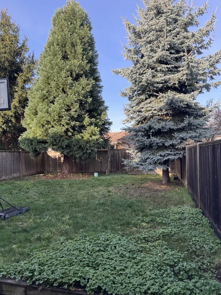 7305 11th Avenue - Photo 5 of 16