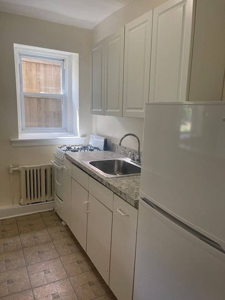 Pine Hill - Photo 6 of 20