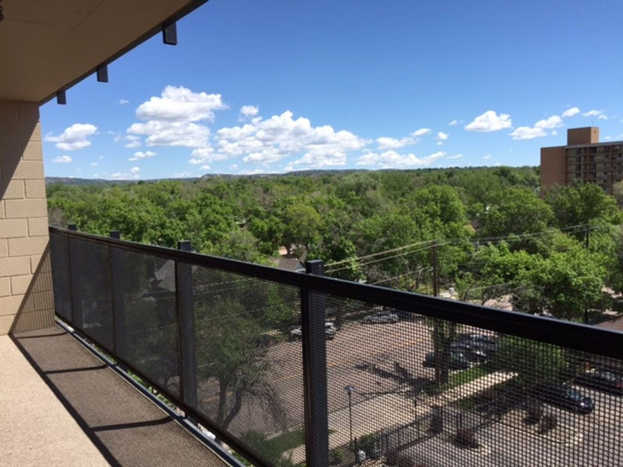 417 E Kiowa St #705 - Photo 4 of 25