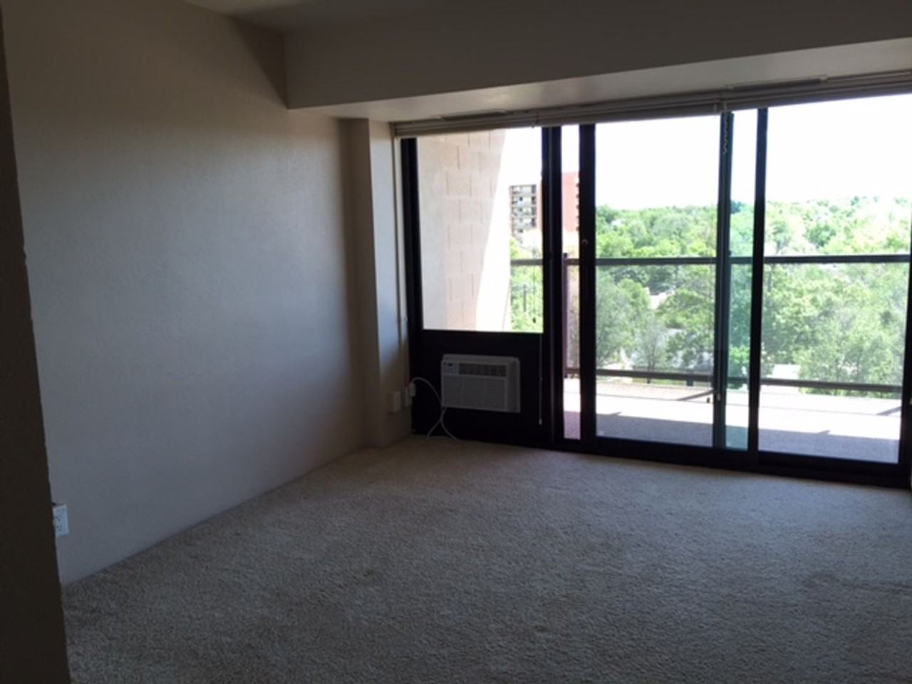 417 E Kiowa St #705 - Photo 7 of 25