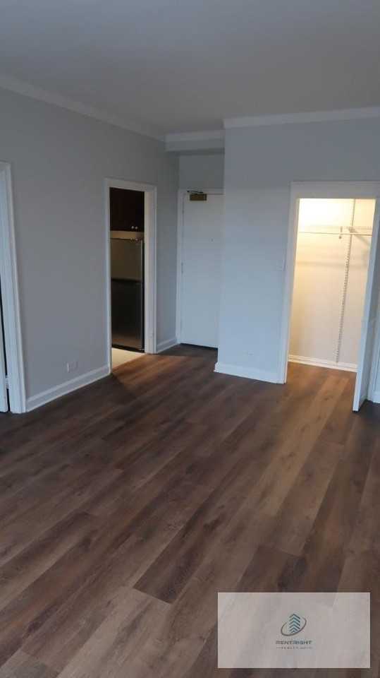 534 W Stratford Pl #708 - Photo 5 of 12
