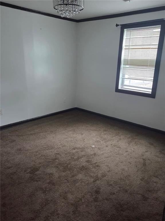 6023 Williams Rd - Photo 6 of 14