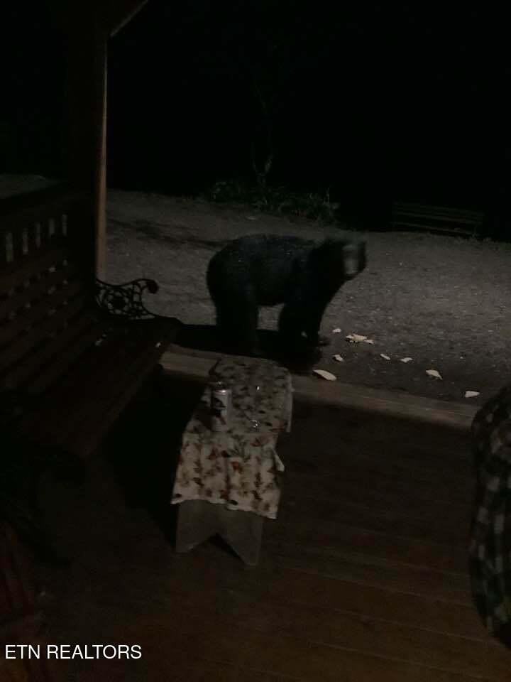 3017 Walters Way - Photo 3 of 50