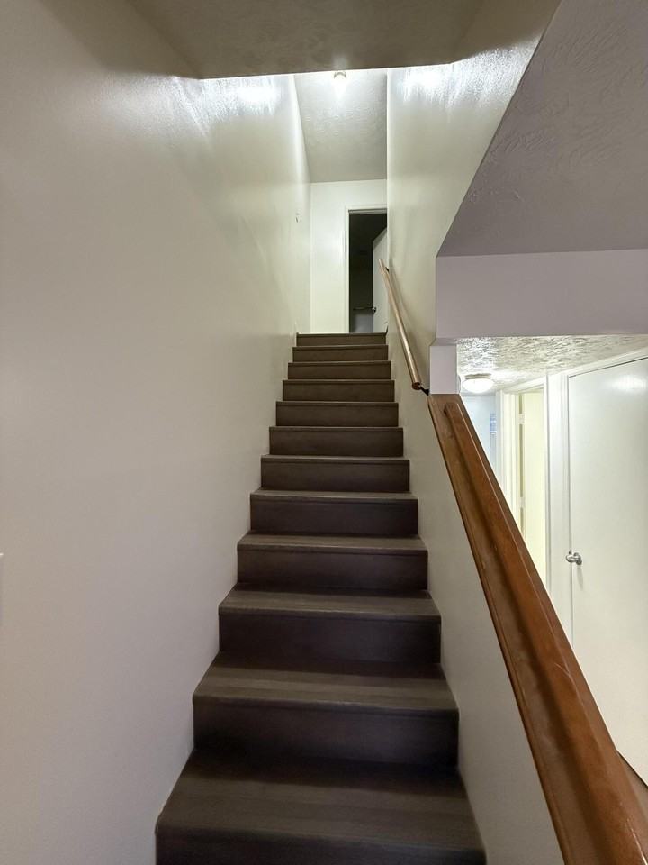 3719 Trent Cir - Photo 7 of 17