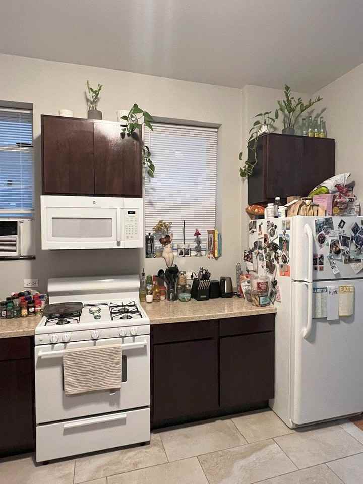 1532 W 18th Pl Apt 1f #1F - Photo 7 of 14