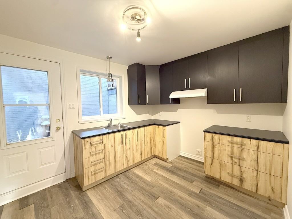 4555 Avenue Papineau - Photo 3 of 12